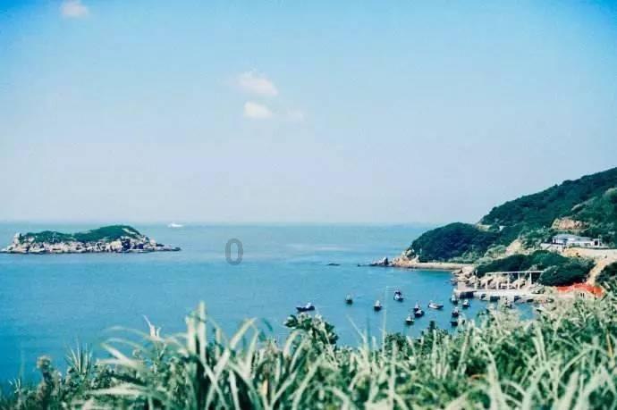 拯救小松鼠